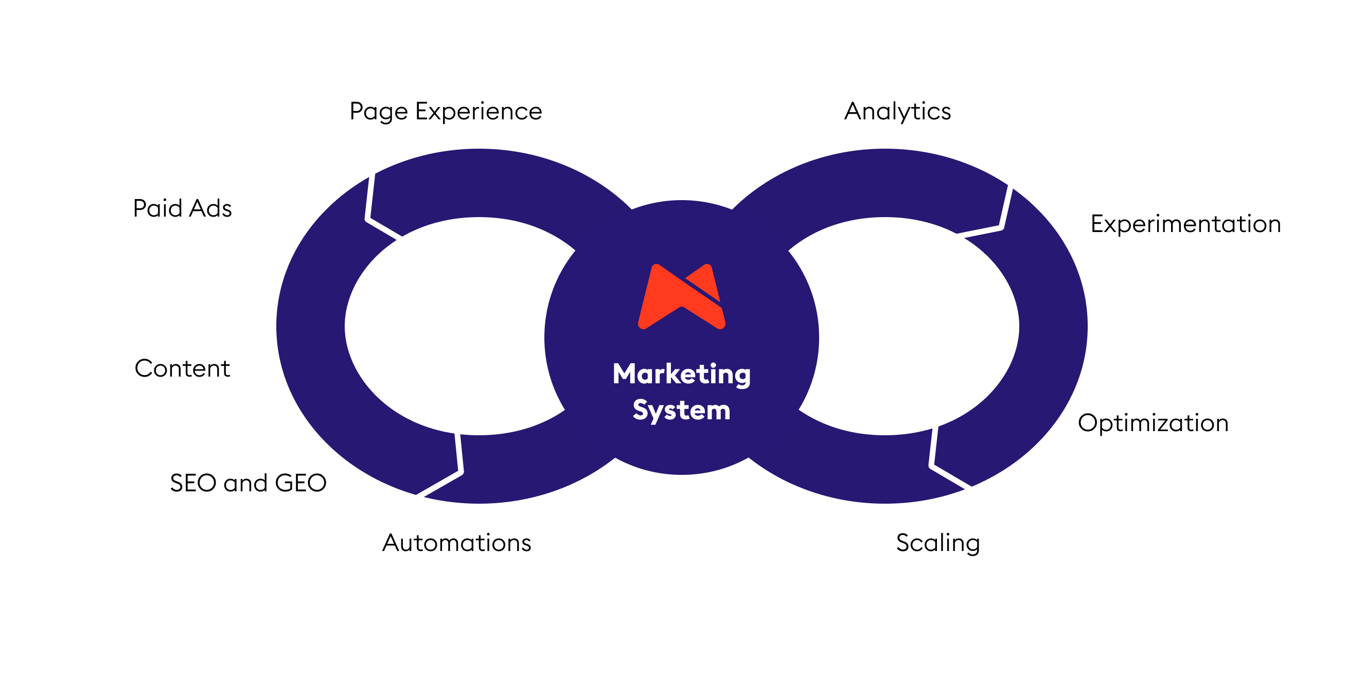 growth loop