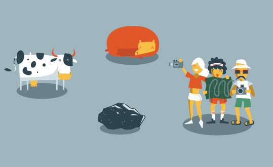 From planning to implementation