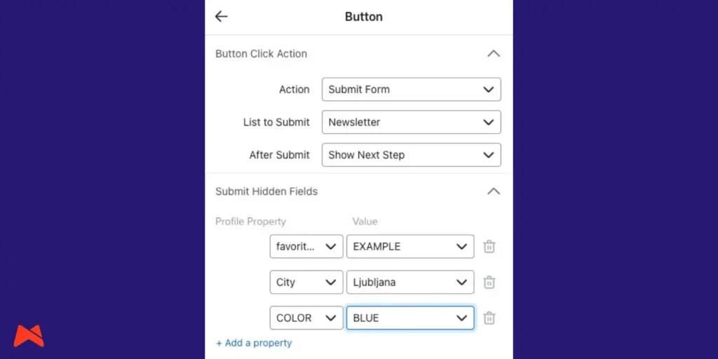 Example of hidden fields setup in Klaviyo for zero-party data collection